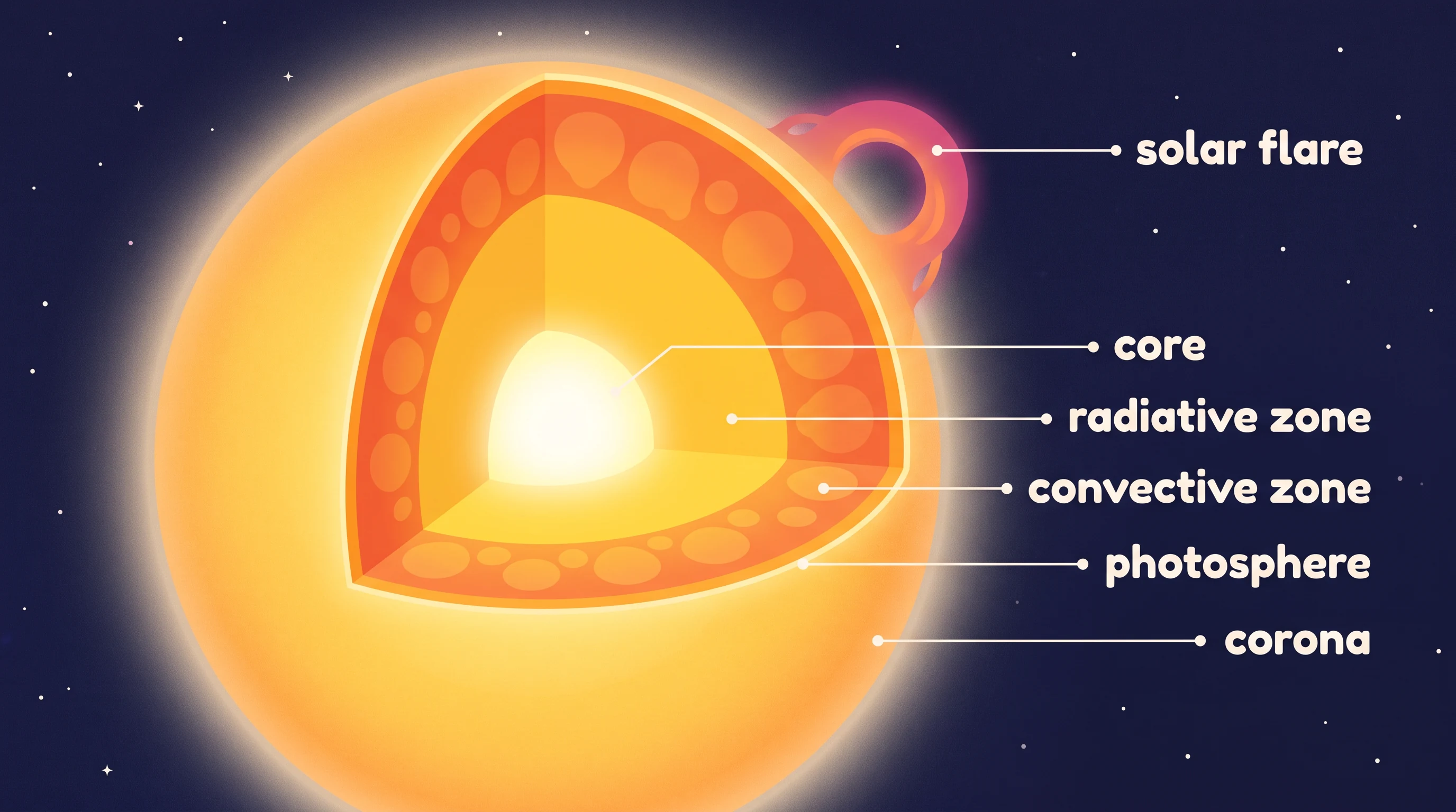 Inside the Sun, layer by layer, in the Cosmic Flat Science style