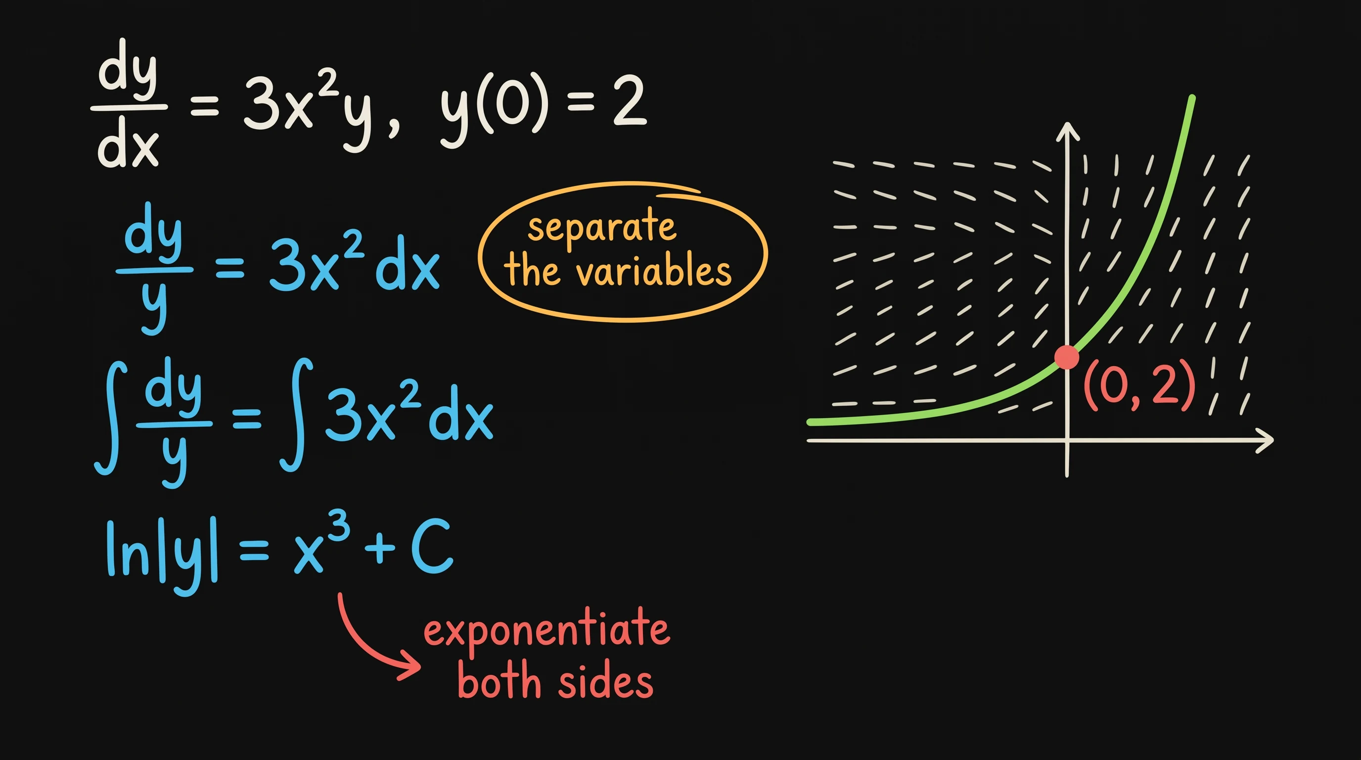 A separable differential equation, half solved, in the Digital Ink on Black style