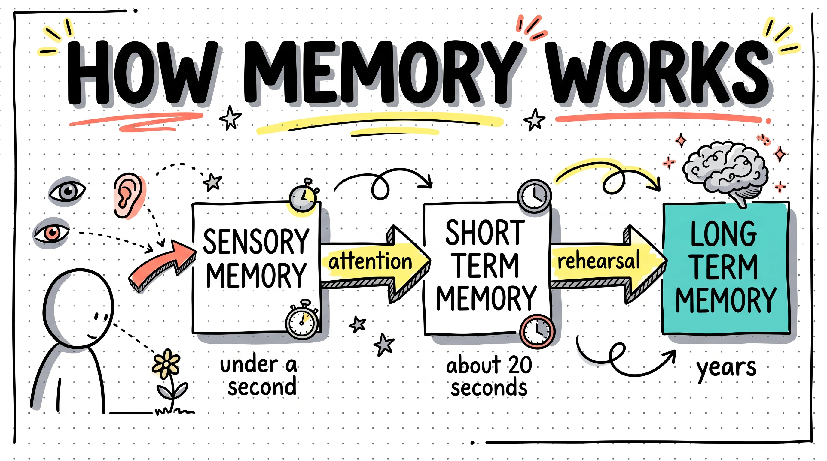 Sketchnote animation style: Visual notes on a dotted notebook page: fineliner lettering, doodles, arrows and two bright highlighters.